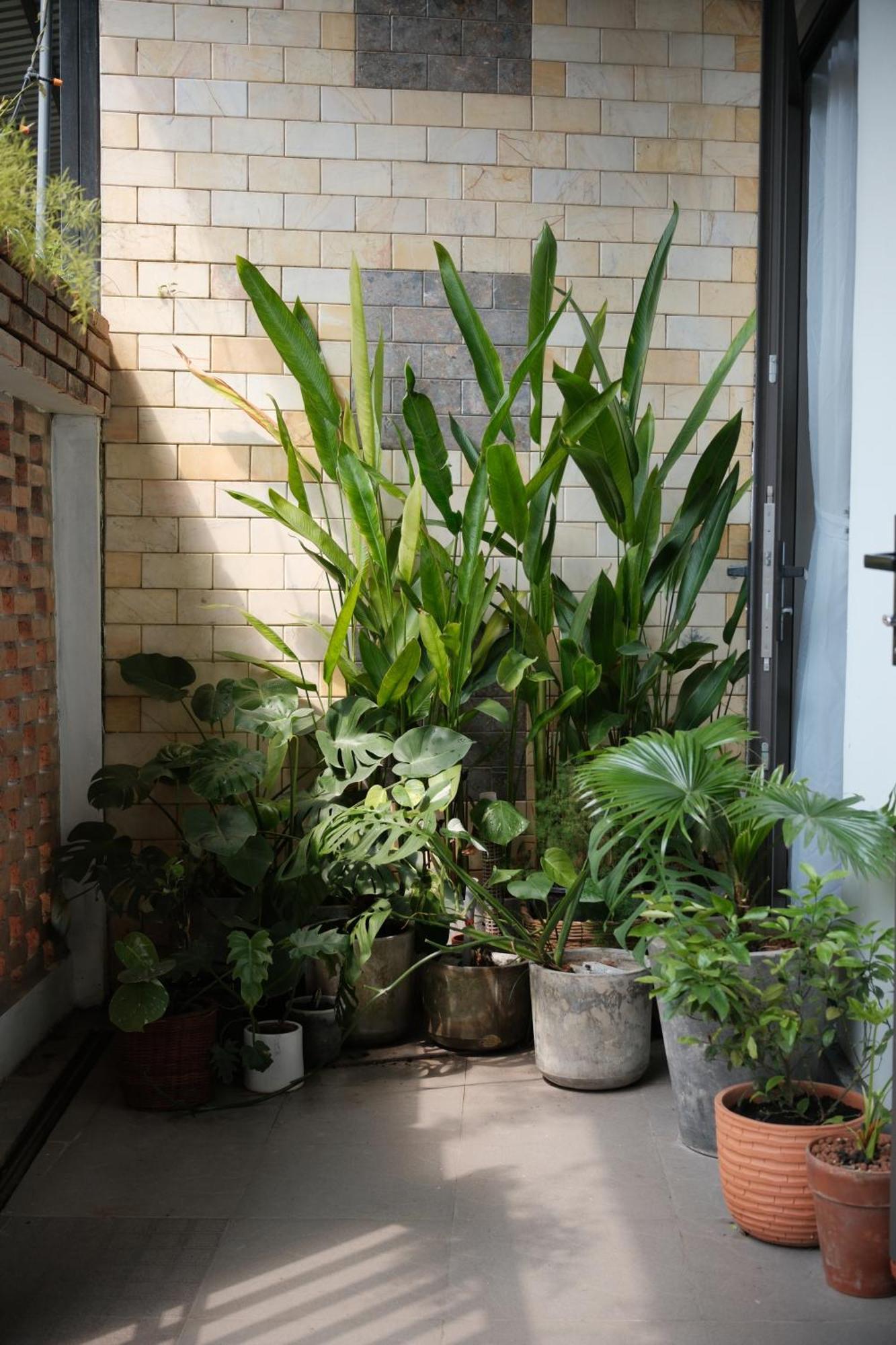 Glory Hue Homestay Exterior photo