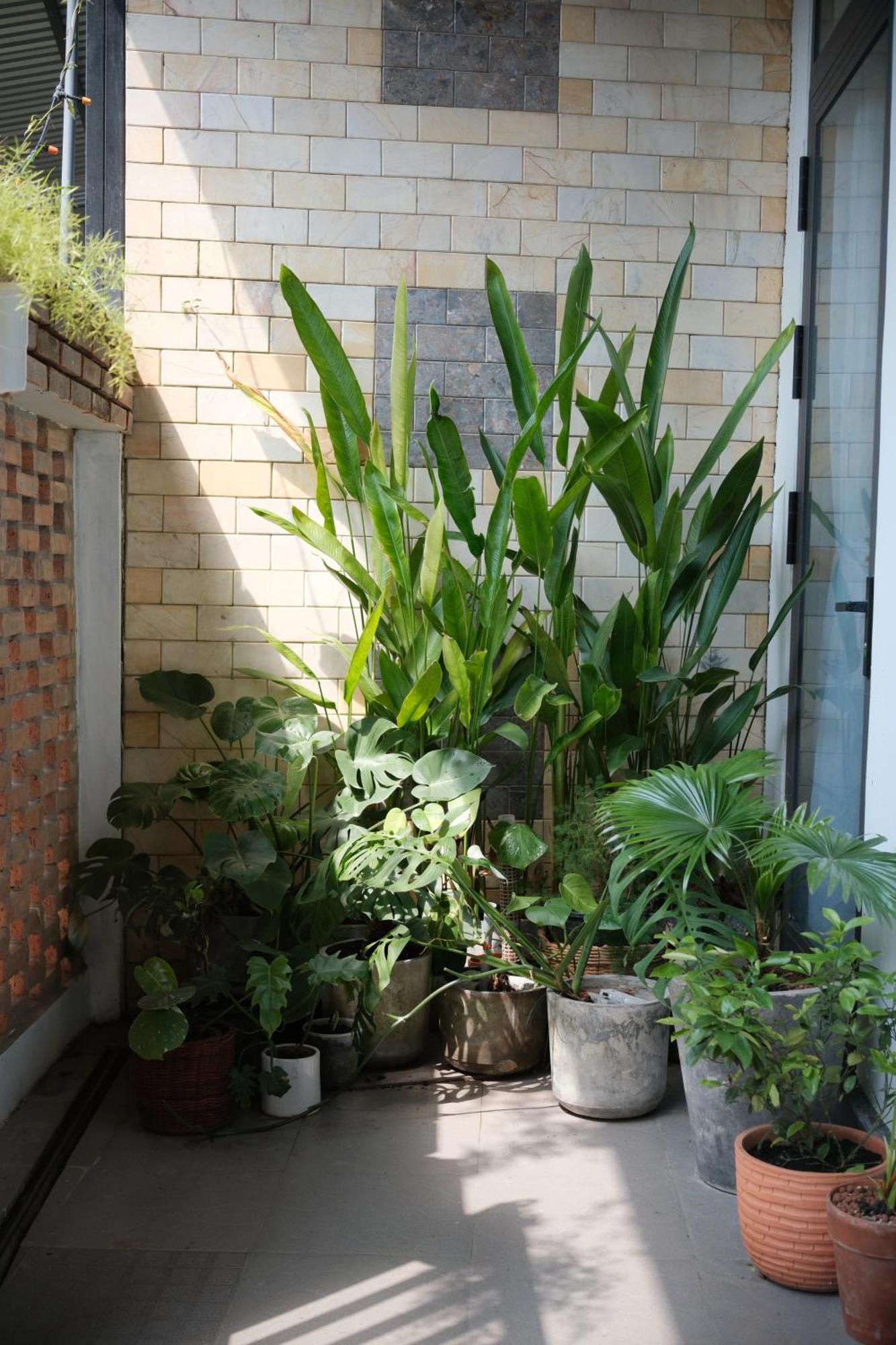 Glory Hue Homestay Exterior photo